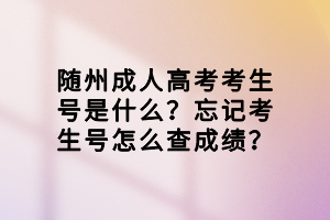 隨州成人高考考生號(hào)是什么？忘記考生號(hào)怎么查成績(jī)？