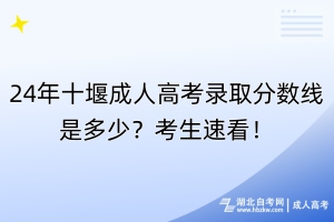 24年十堰成人高考錄取分?jǐn)?shù)線是多少？考生速看！