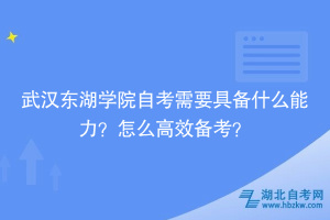 武漢東湖學(xué)院自考需要具備什么能力？怎么高效備考？