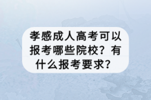 孝感成人高考可以報(bào)考哪些院校？有什么報(bào)考要求？