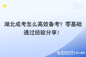 湖北成考怎么高效備考？零基礎(chǔ)通過經(jīng)驗分享！