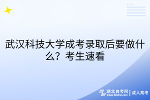 默認標題__2025-03-17+15_17_21