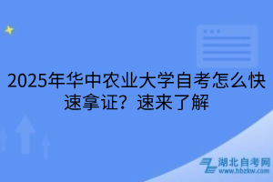 默認標題__2025-04-22+11_08_23