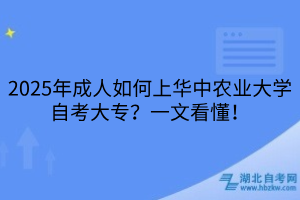 默認標題__2025-04-22+11_30_17