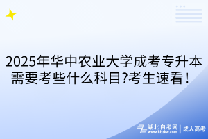 默認標題__2025-04-22+15_14_04