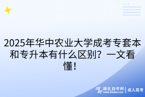 默認標題__2025-04-22+15_44_03