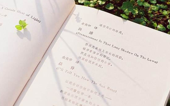 成人高考專升本藝術(shù)概論?？贾R點歸納2：藝術(shù)鑒賞