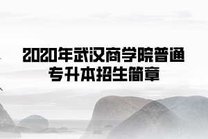2020年武漢商學(xué)院普通專升本招生簡(jiǎn)章