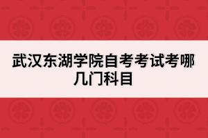 武漢東湖學院自考考試考哪幾門科目