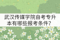武漢傳媒學(xué)院自考專升本有哪些報(bào)考條件？