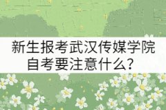 新生報(bào)考武漢傳媒學(xué)院自考要注意什么？