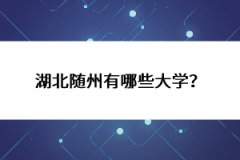 湖北隨州有哪些大學(xué)？