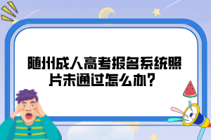 隨州成人高考報名系統(tǒng)照片未通過怎么辦？