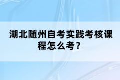 湖北隨州自考實踐考核課程怎么考？