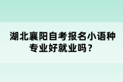 湖北襄陽自考報名小語種專業(yè)好就業(yè)嗎？