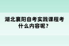 湖北襄陽自考實踐課程考什么內(nèi)容呢？