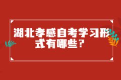 湖北孝感自考學(xué)習(xí)形式有哪些？