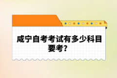 咸寧自考考試有多少科目要考？