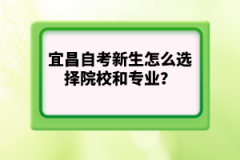 宜昌自考新生怎么選擇院校和專業(yè)？哪個更重要？
