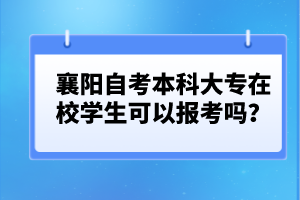 襄陽自考本科大專在校學生可以報考嗎？
